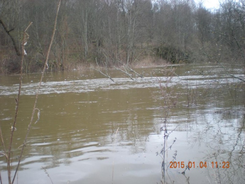 DSCN4930.JPG