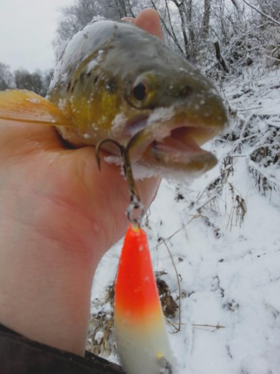 20150105_132731.jpg