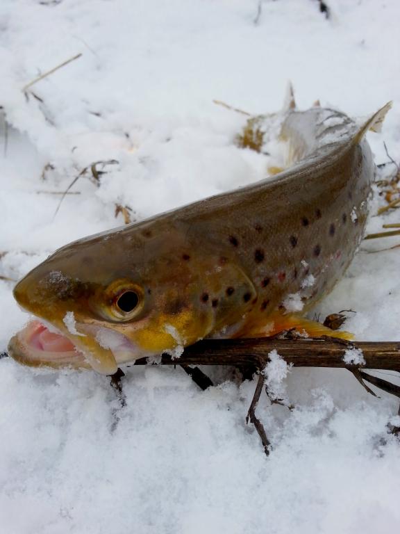 20150105_132842.jpg