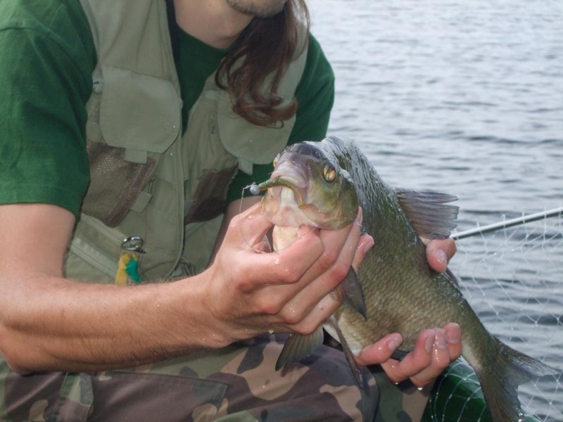 DSCF8683.JPG