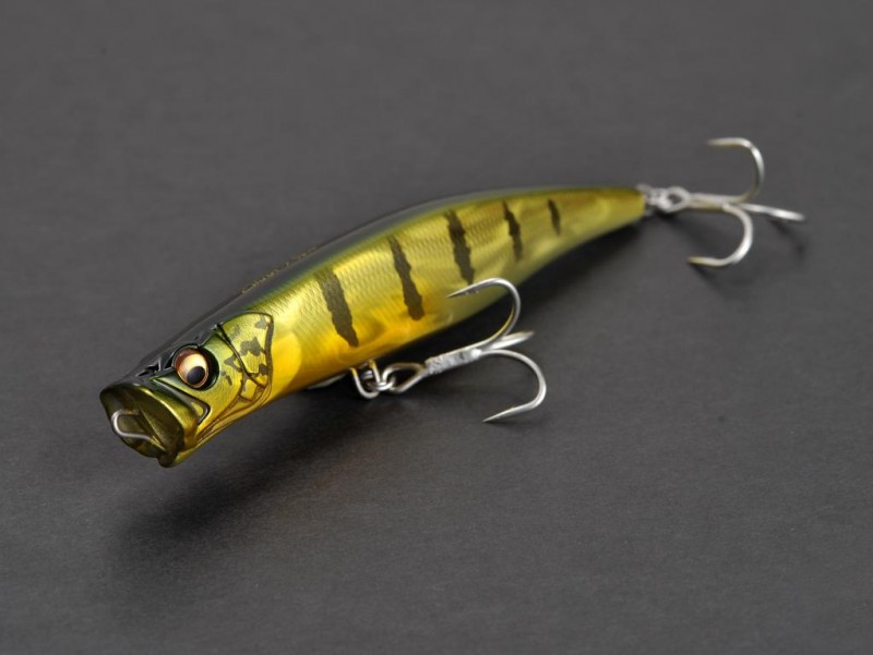 megabass chuggy x.jpg