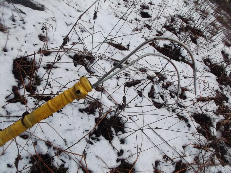 DSCF3054.JPG