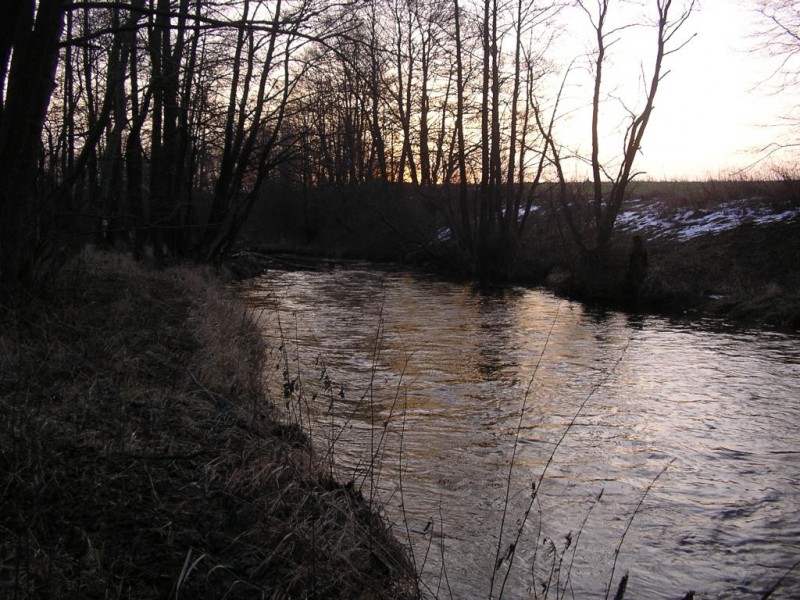 IMGP0659.JPG