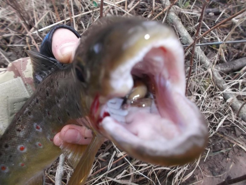 DSCF3070.JPG