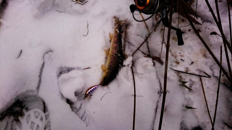 DSC_8132.JPG
