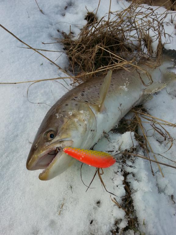 20150127_131613.jpg