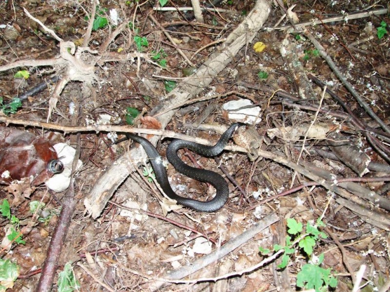 DSCF5565.JPG