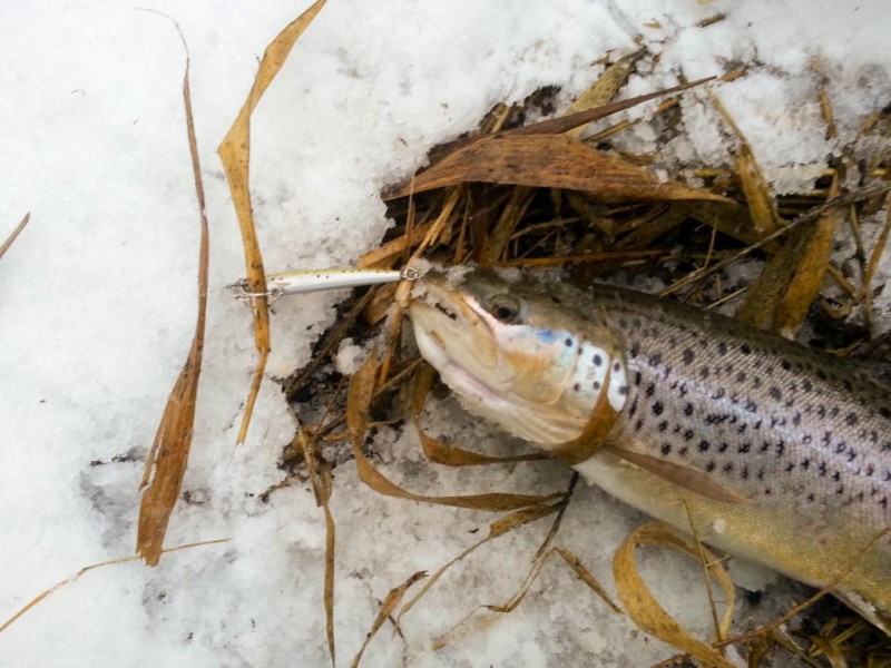 20150131_135944.jpg