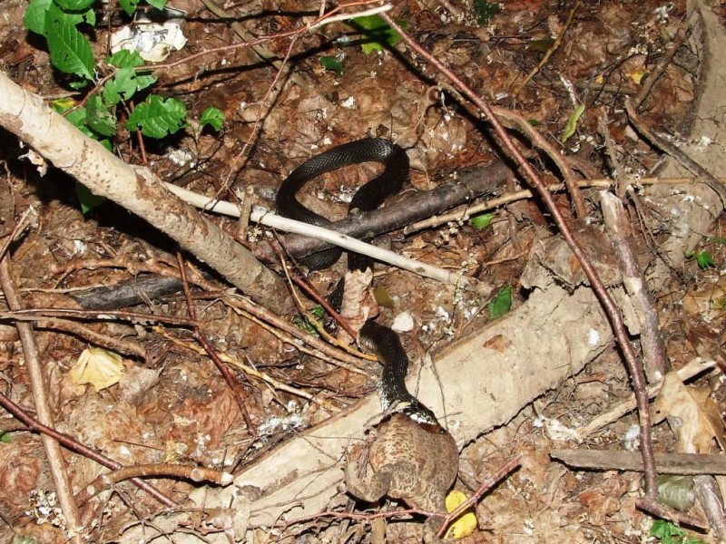 DSCF5572.JPG