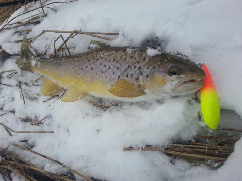 20150128_114626.jpg