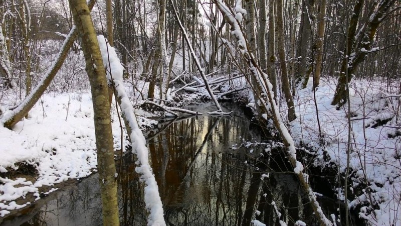 P_20150203_131954.jpg