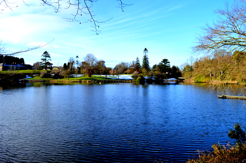 DSC_0872.JPG