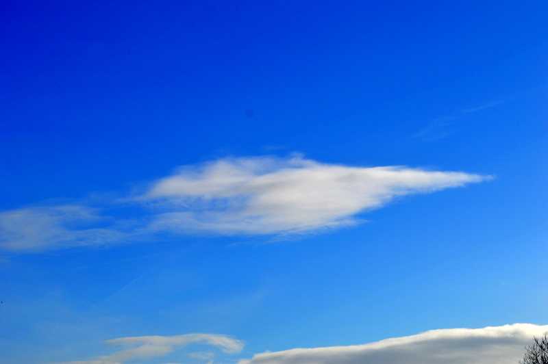 DSC_0903.JPG