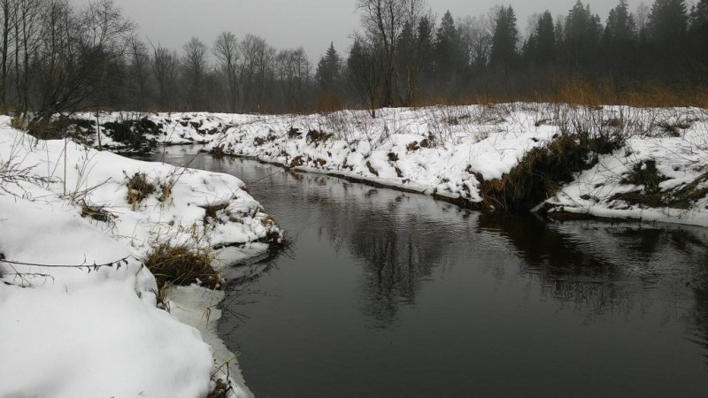 P_20150207_111500.jpg