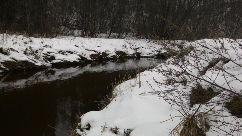 P_20150207_111521.jpg