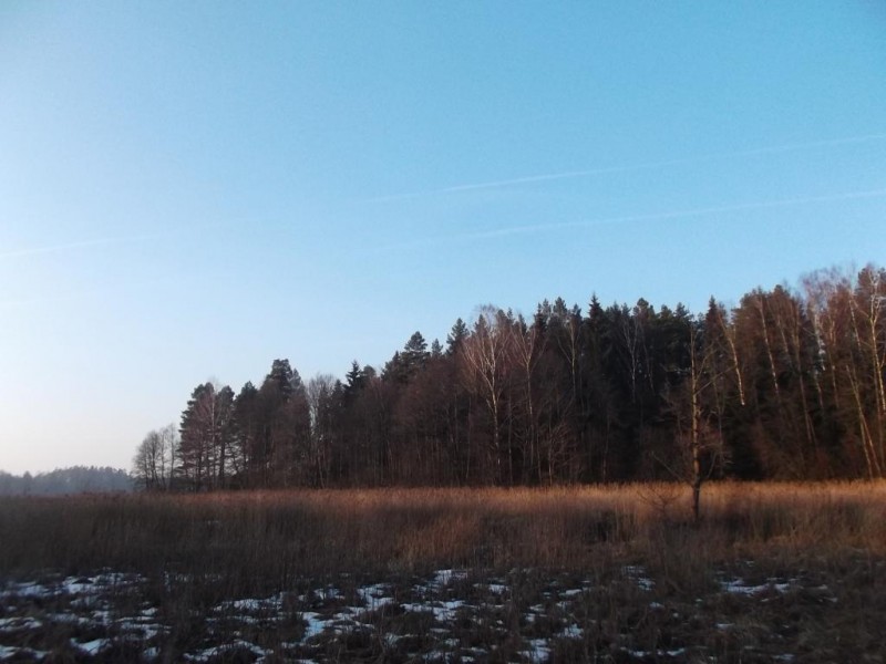 DSCF3158 - Copy.JPG