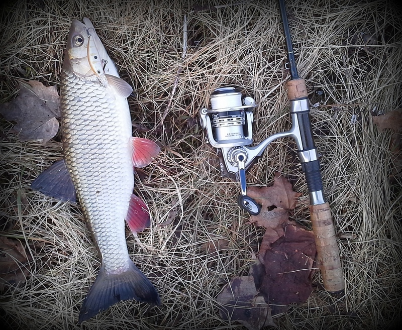 20150221_150345.jpg