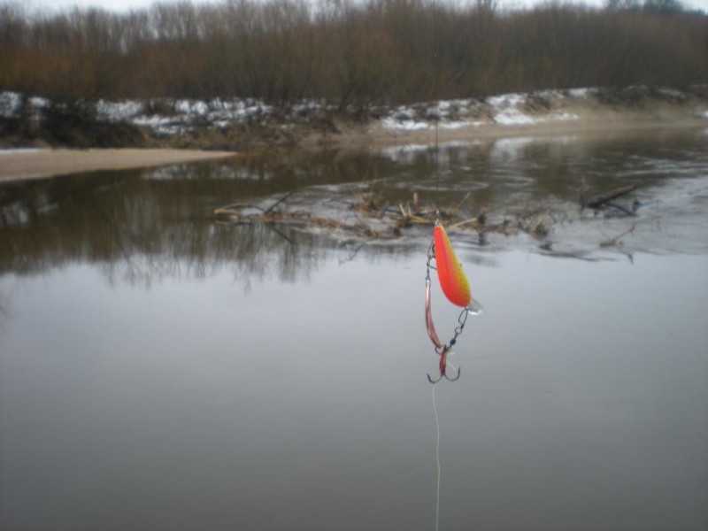 DSCN4943.JPG