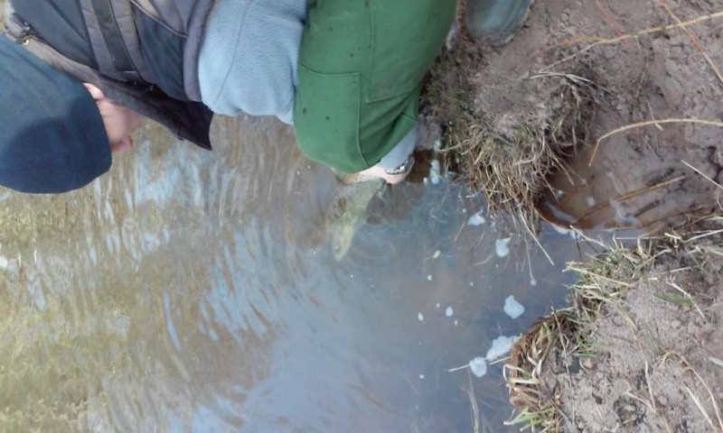 20150222_093647.jpg