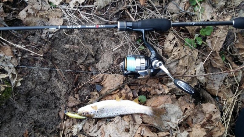 20150222_161405.jpg