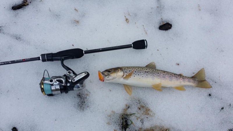 20150222_144446.jpg
