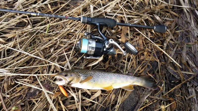 20150222_141415.jpg