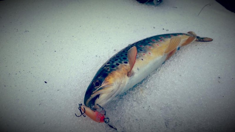 20150222_132727.jpg