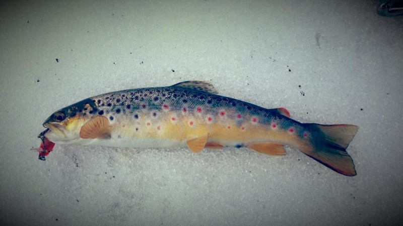 20150222_132719.jpg