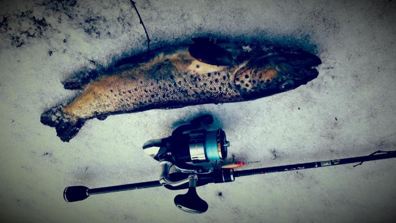 20150201_151134.jpg
