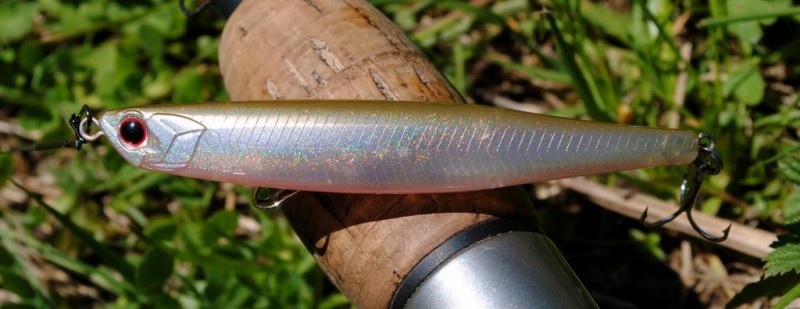 Bent minnow 76 F.JPG