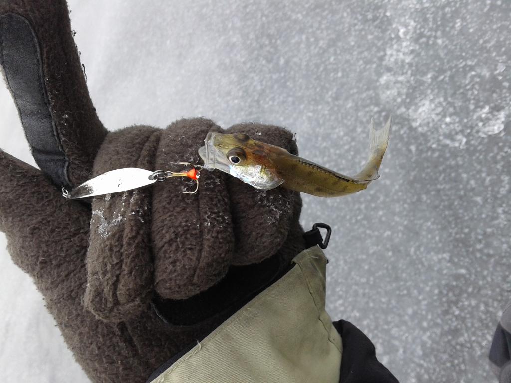 20150226_133924.jpg