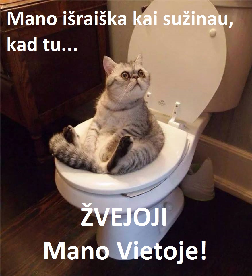 Kate ant puodo 2.jpg