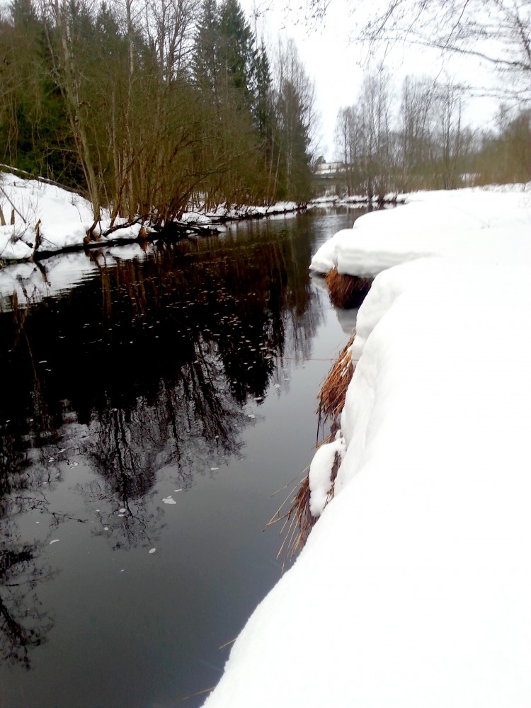 20150301_164738.jpg
