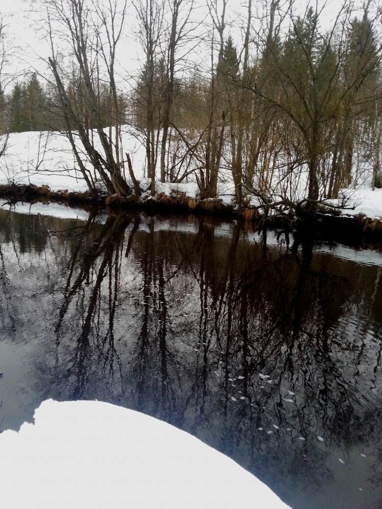 20150301_164726.jpg