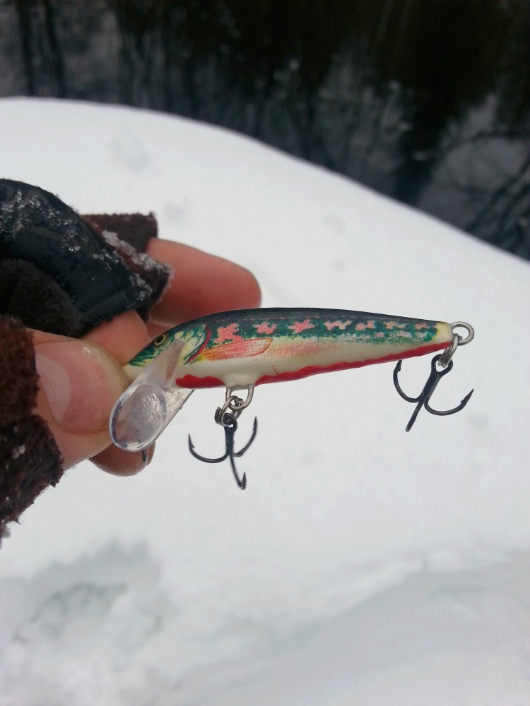 20150301_164242.jpg