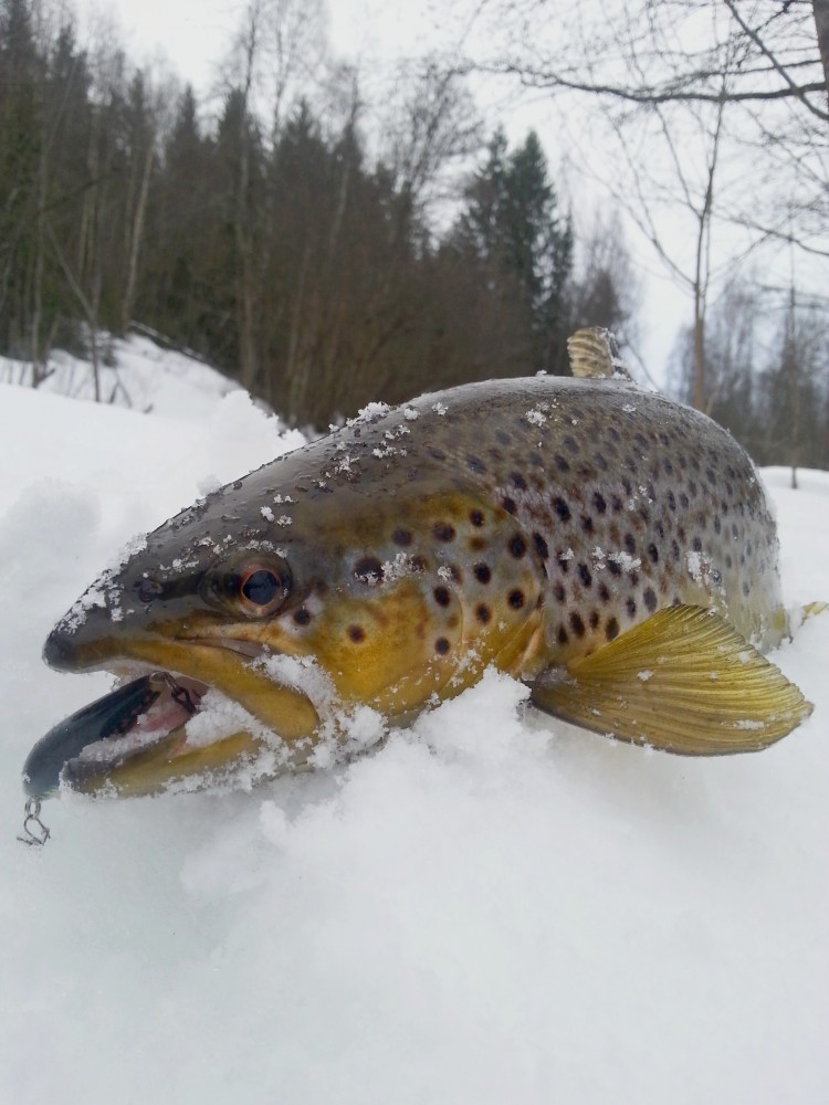 20150301_163851.jpg