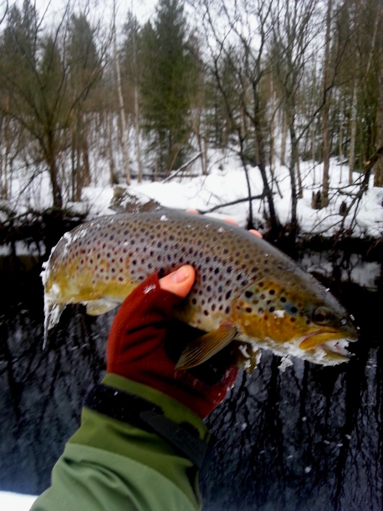 20150301_164112.jpg