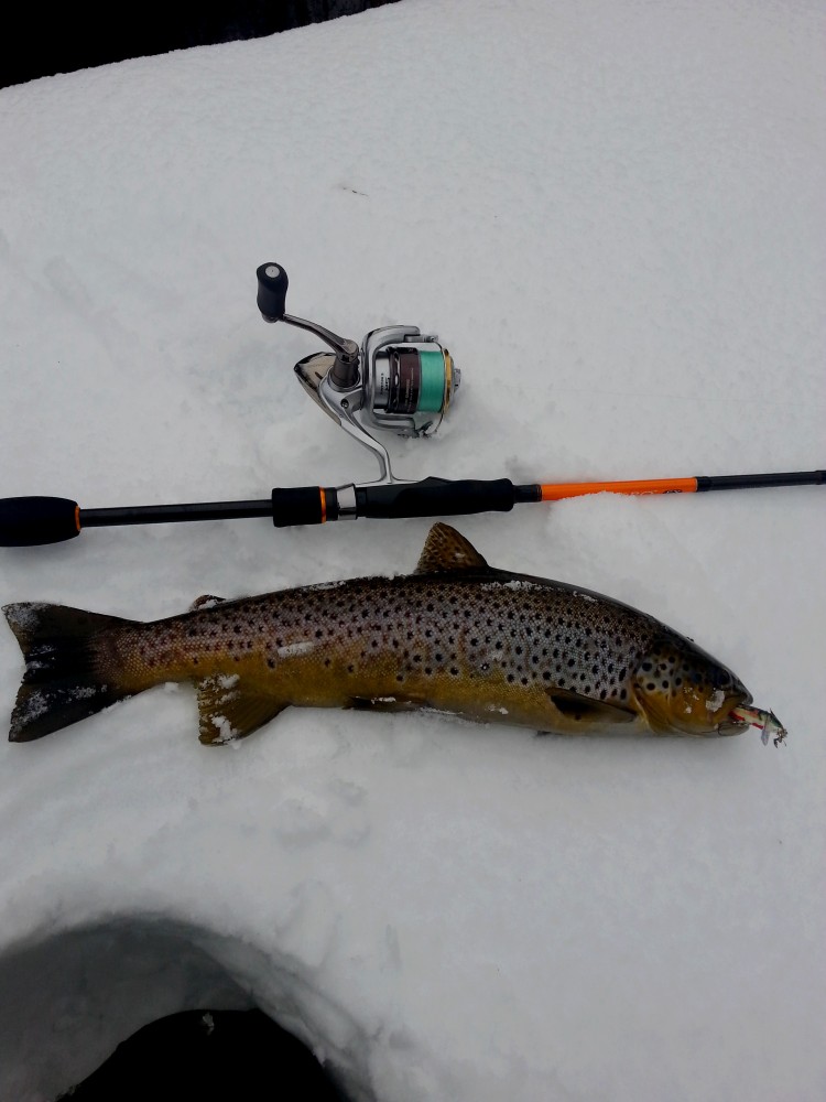 20150301_163726.jpg