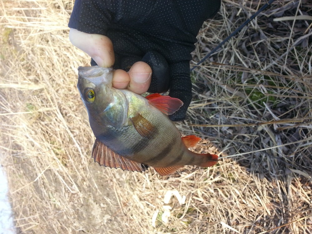 20150308_145450.jpg