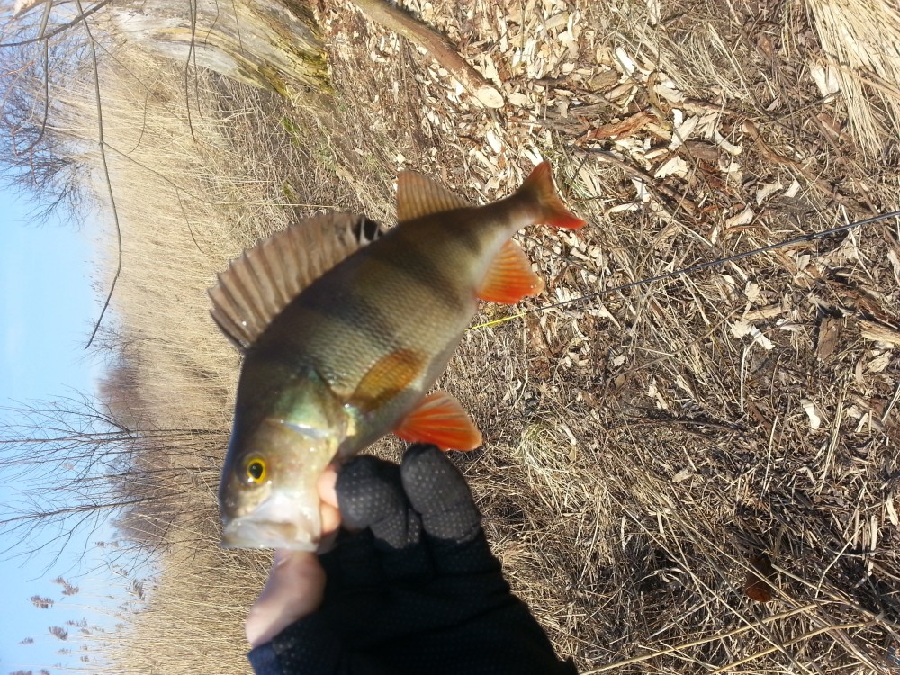 20150308_145729.jpg