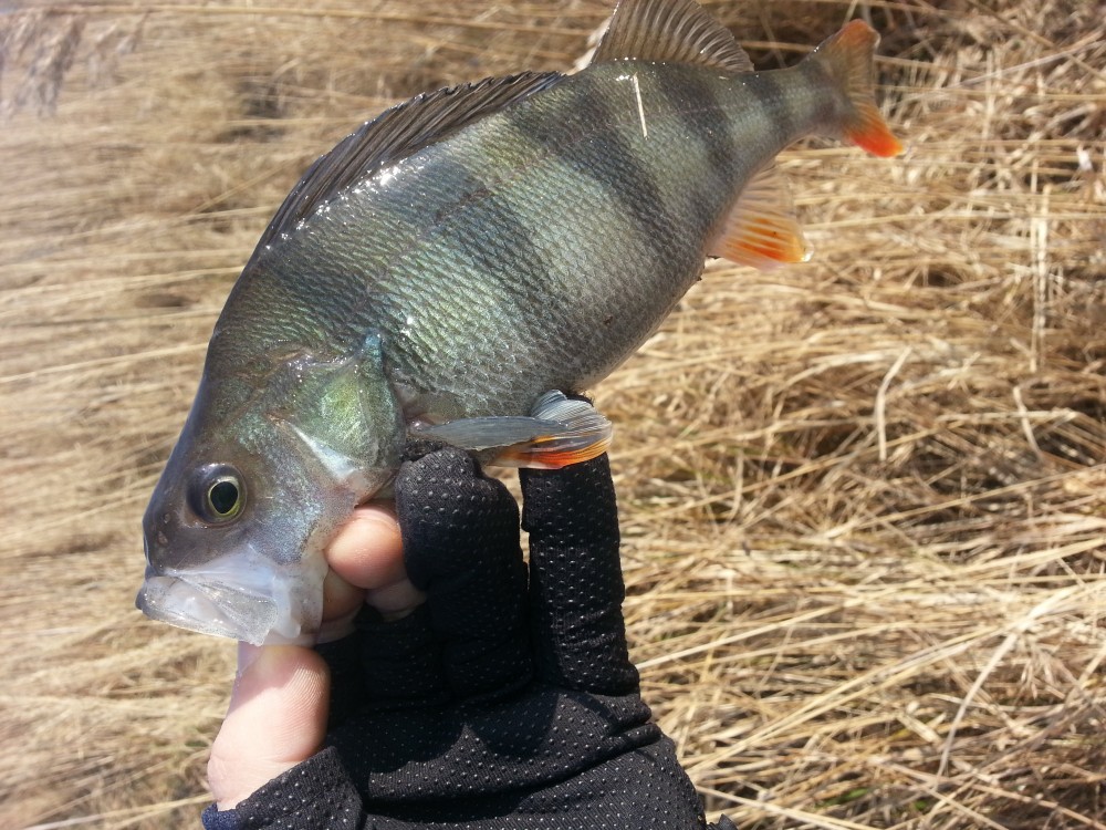 20150308_150258.jpg