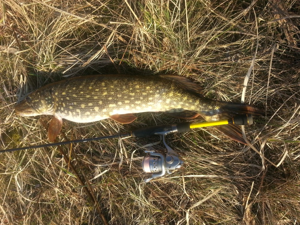 20150308_165057.jpg
