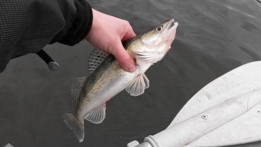 20150311_123051.jpg