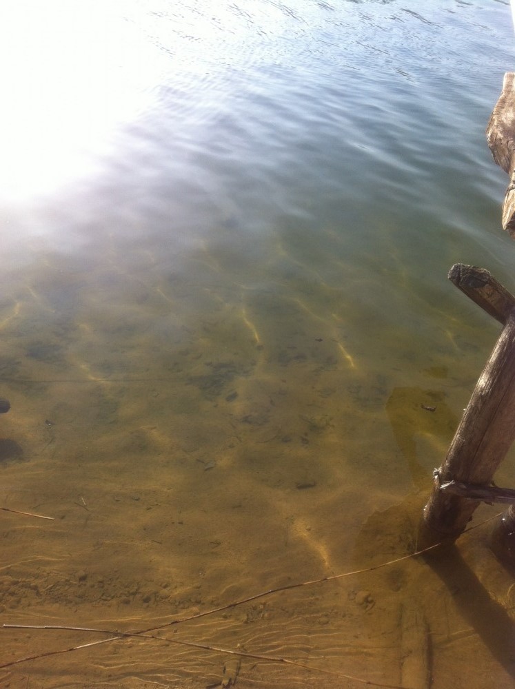 image1.jpg