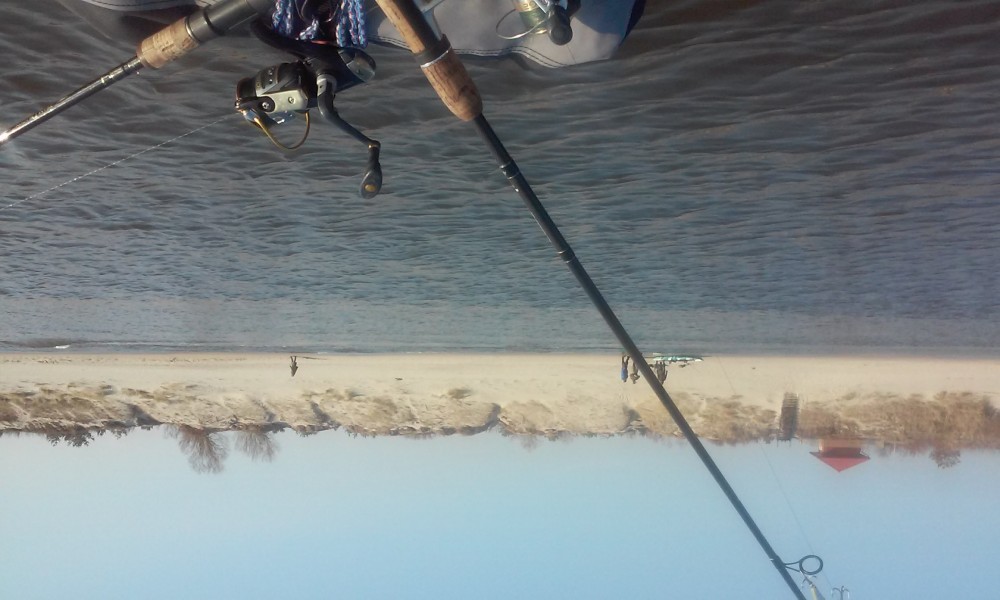 20150315_153115.jpg
