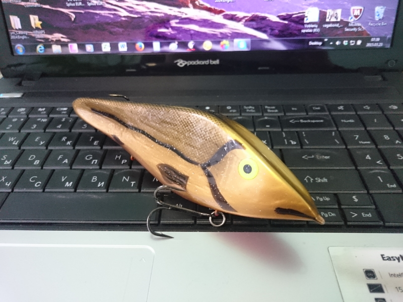 Karosas_15cm~90g_SP.jpg
