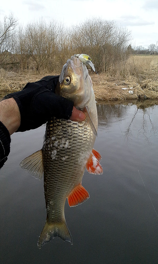 20150322_140344.jpg