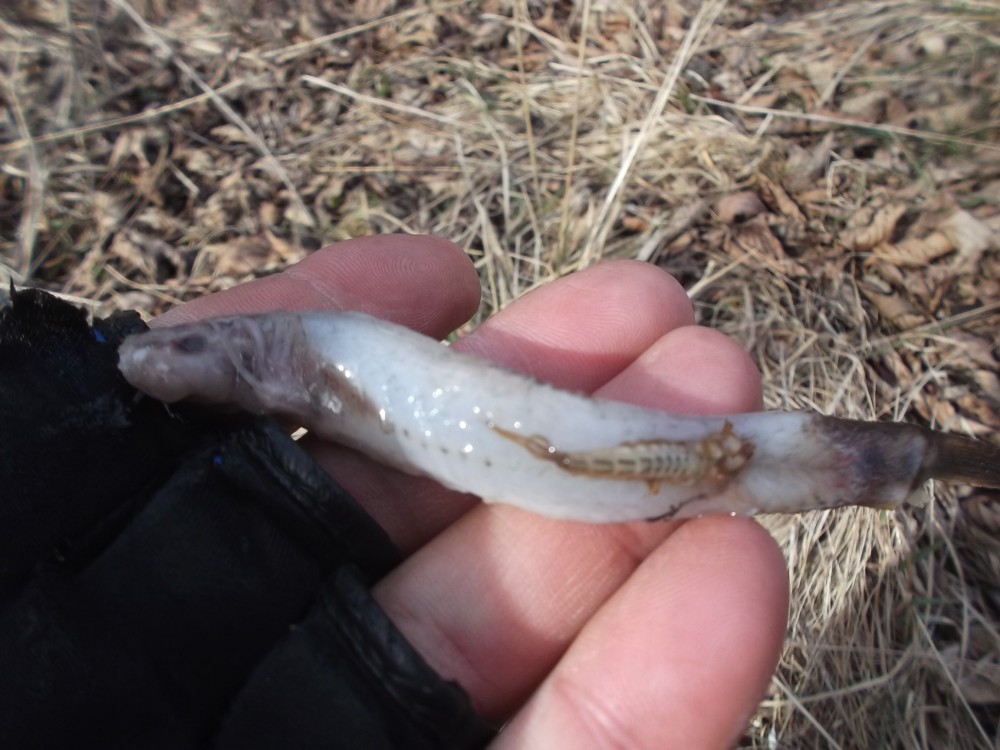 DSCF3373.JPG