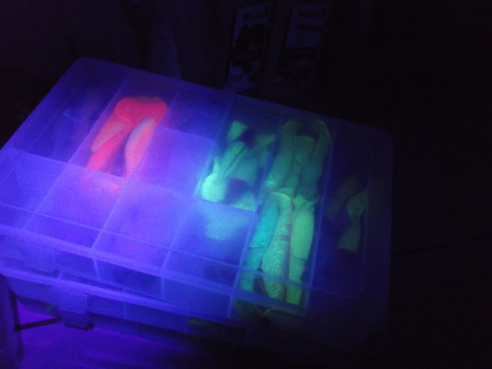 DSCF3490.jpg