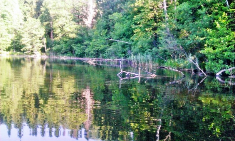 WP_20130630_003.jpg